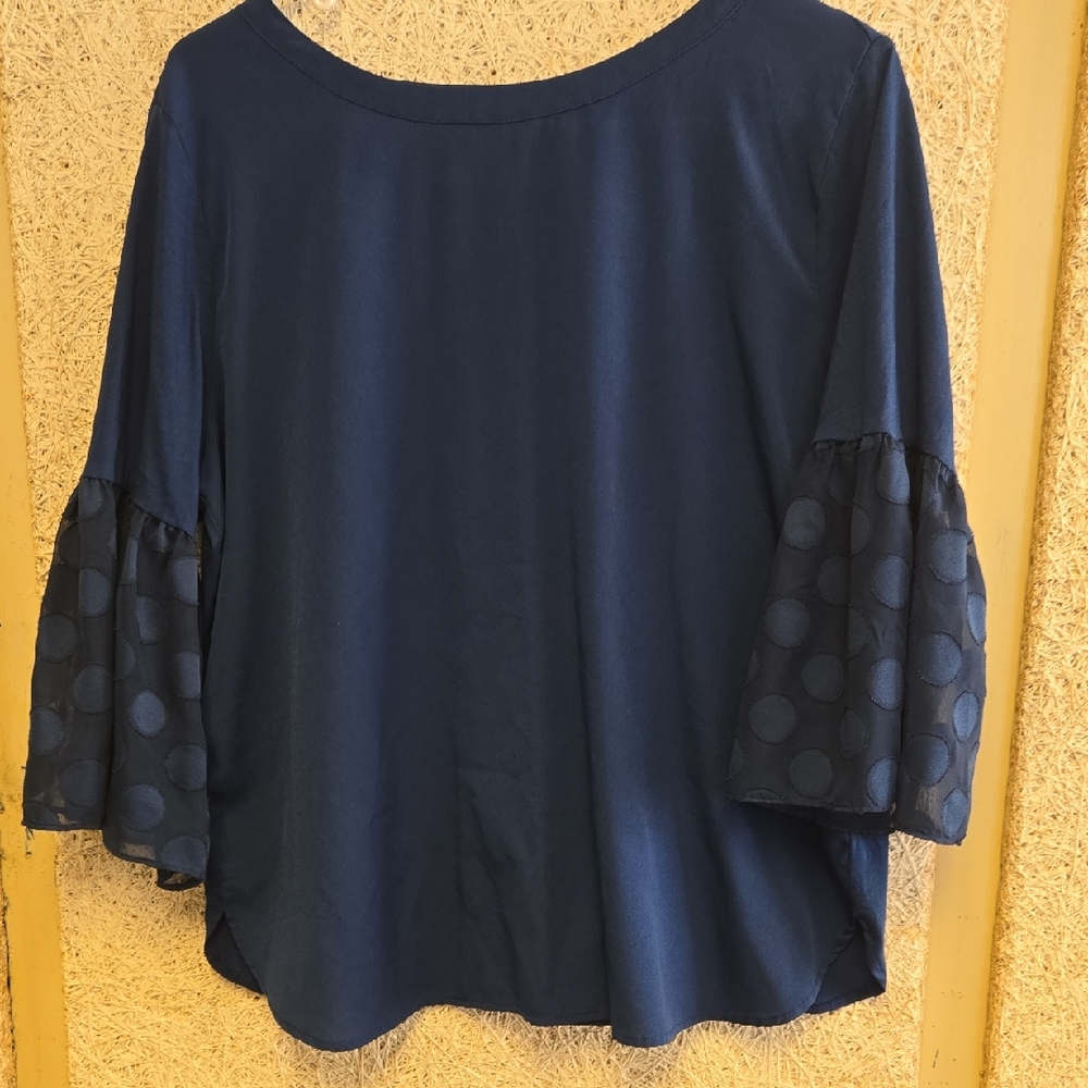 Van Heusen Blue Blouse with Sheer Sleeves